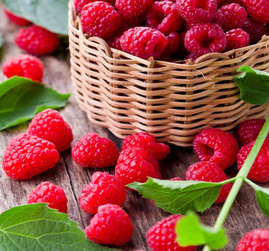 Framboise